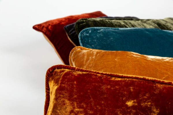 Ref. X - Coussin S (Vendu par unité) 30x50 - Velours de soie – Image 2