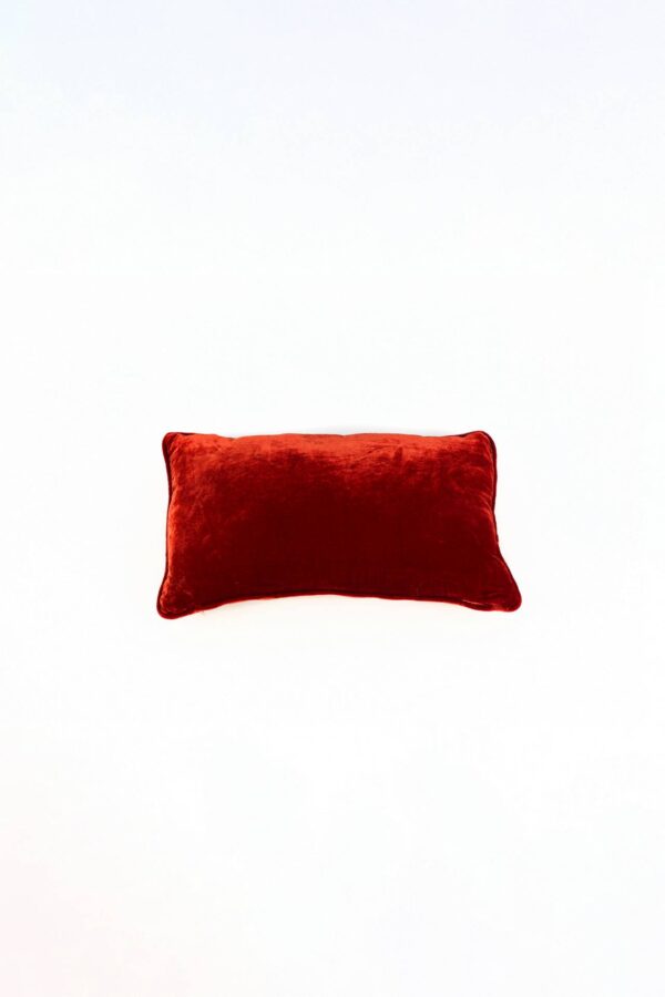 Ref. 2293 - Coussin Velours de Soie Rouge 30 x 50 cm
