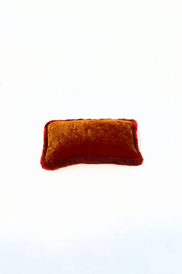 Re. 2396 - Cushion Silk Velvet Orange Mao Mao  30 x 50 cm