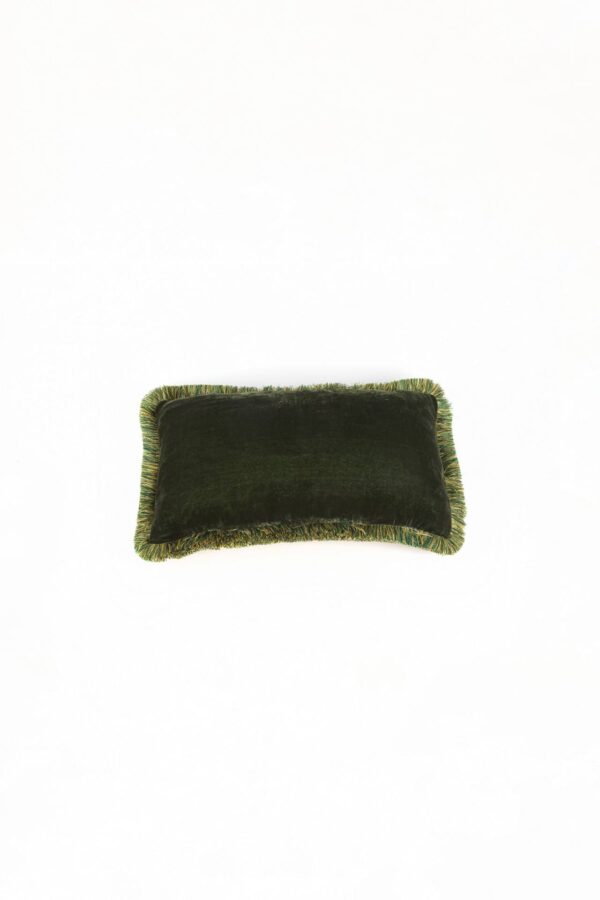 Ref. 2405 - Coussin Fringe Velours de Soie Vert 30 x 50 cm