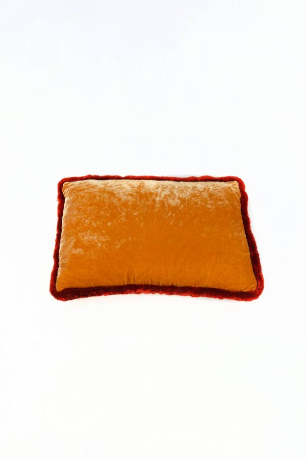Ref. 2401 - Cushion Silk Velvet Gold Mao Mao 40 x 60 cm